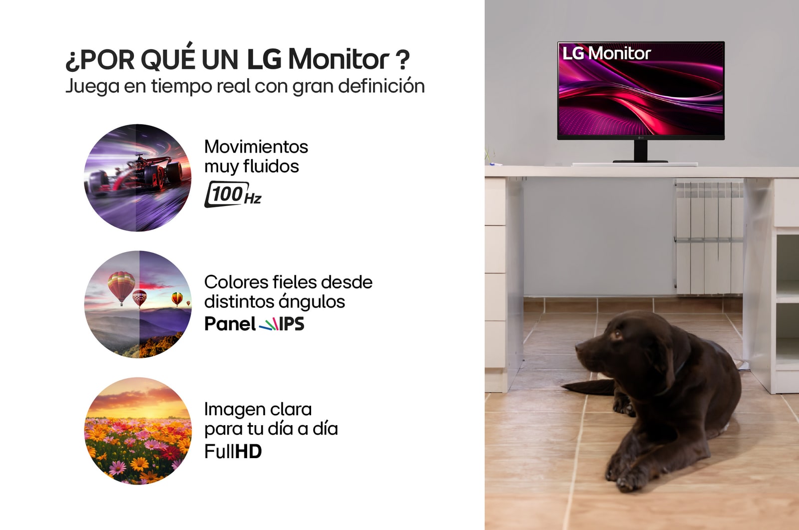 Monitor IPS 27 Pulgadas - 27MR400